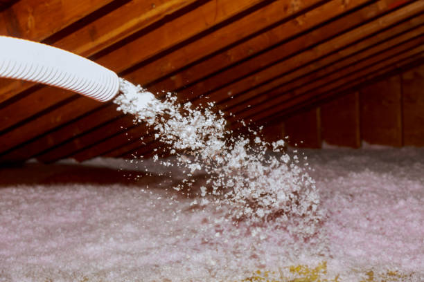 Best Residential Insulation Services  in Plain City, UT