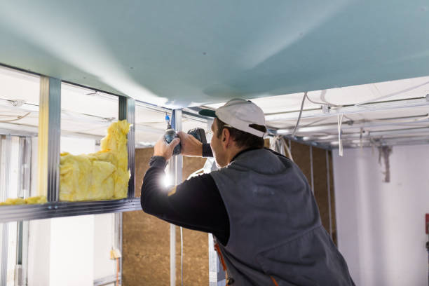 Best Spray Foam Insulation  in Plain City, UT