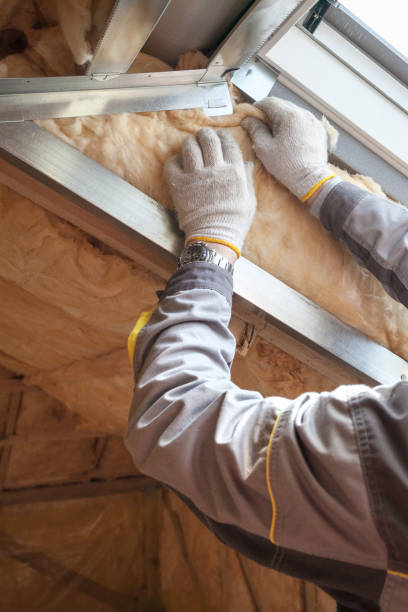 Best Energy-Efficient Insulation  in Plain City, UT